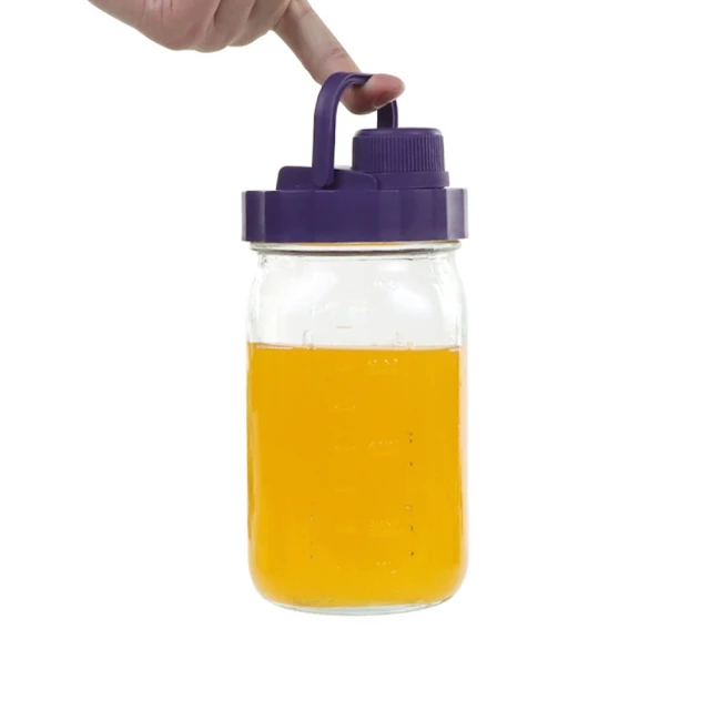 隨行杯隨行卡馬克杯系列 Starbucks星巴克 福袋限定帆布背袋斜背包 斜背包 歷史價格詳細信息