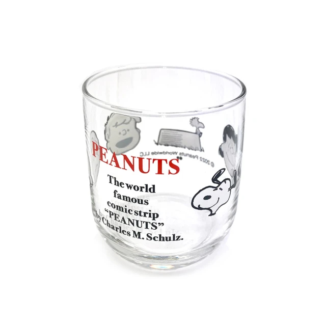 SNOOPY / 透明口罩文件收納袋 / 40K【100圖書文具生活館】 歷史價格詳細信息