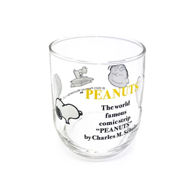 SNOOPY / 透明口罩文件收納袋 / 40K【100圖書文具生活館】 歷史價格詳細信息