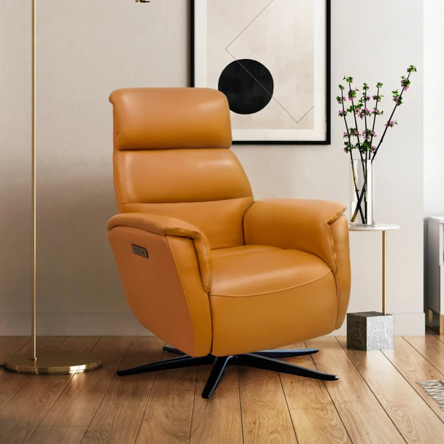 設計款躺椅沙發椅真皮單人椅設計師椅子意式極簡休閑椅伊姆斯躺椅-范斯頓配件工廠 歷史價格詳細信息