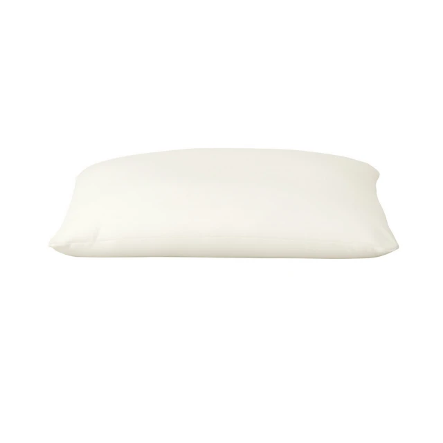【MUJI 無印良品】懶骨頭補充內墊 歷史價格詳細信息