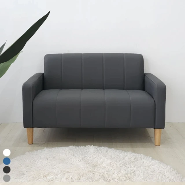 貓抓布雙人沙發 布休閒沙發雙人椅(大台北地區免運費)促銷價8200元【阿玉的家2023】 歷史價格詳細信息