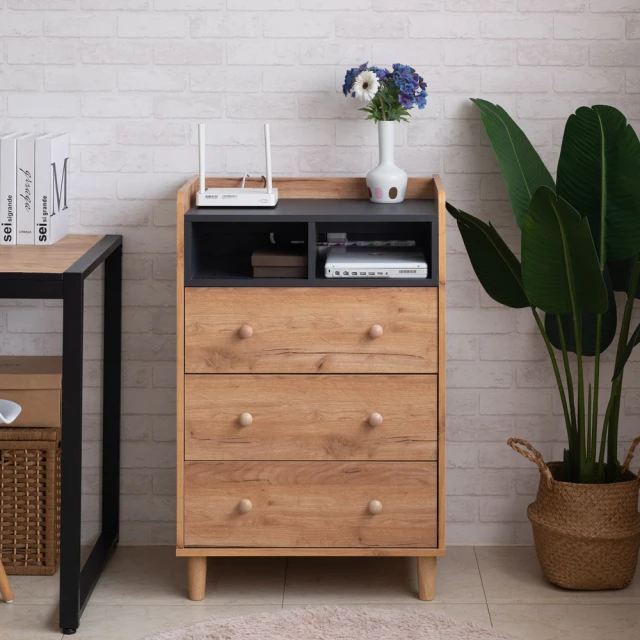 TZUMii瓦格三格一空櫃/層櫃 歷史價格詳細信息