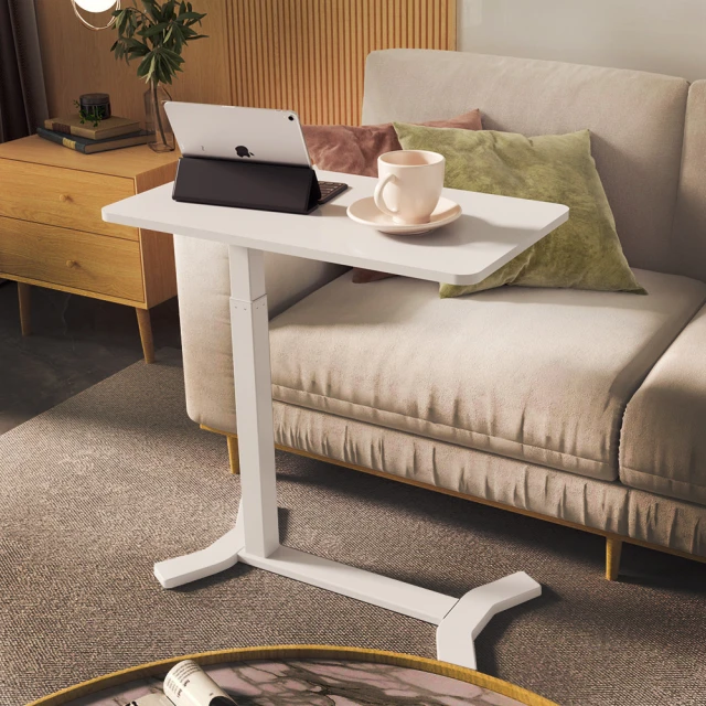 Flexispot CD201 兒童電動升降桌 桌板可傾斜 (DIY) 不含書架 歷史價格詳細信息