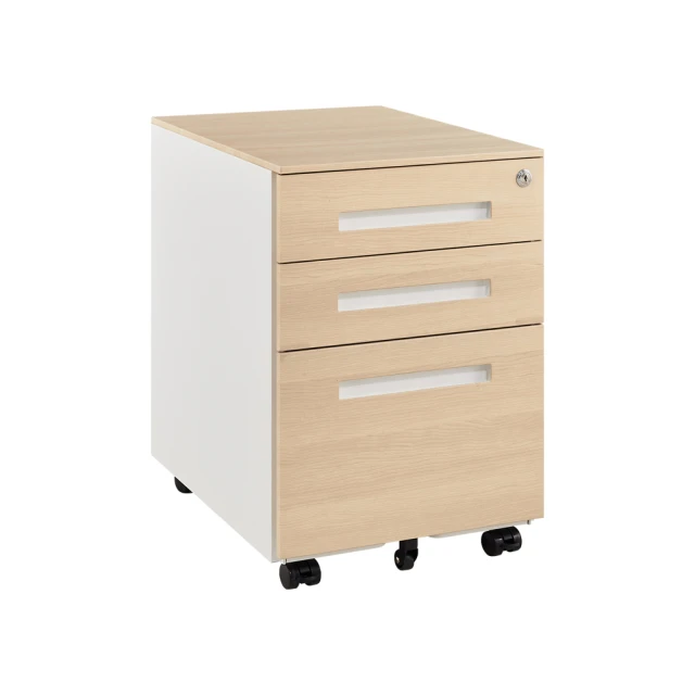 鋼制辦公柜文件柜鐵皮柜資料檔案柜財務憑證柜小矮柜子帶抽屜帶鎖 歷史價格詳細信息