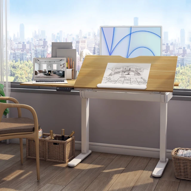 Flexispot CD201 兒童電動升降桌 桌板可傾斜 (DIY) 不含書架 歷史價格詳細信息