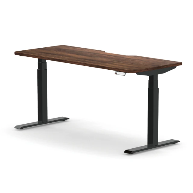 MOTTI 電動升降桌 Ceffio系列 160cm (含基本安裝) 三節式 雙馬達 辦公桌 電腦桌 坐站兩用 歷史價格詳細信息