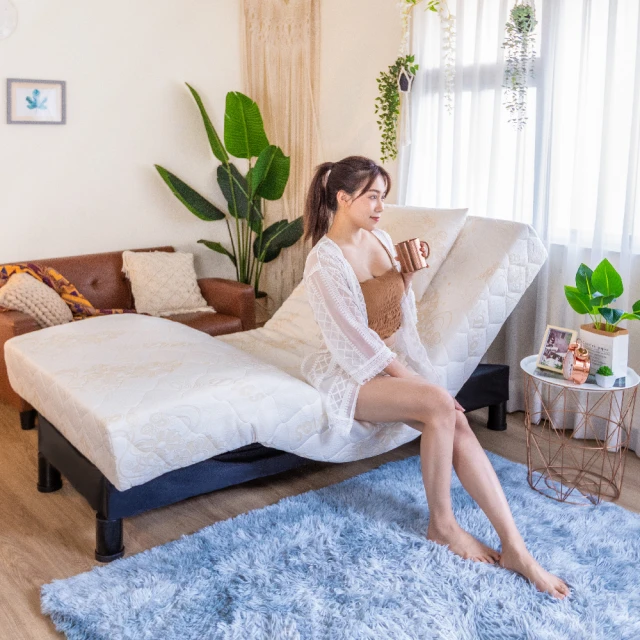 【迪奧斯】天然乳膠床墊 - 單人折疊床 3x6.2 尺 - 高  7.5 公分 歷史價格詳細信息