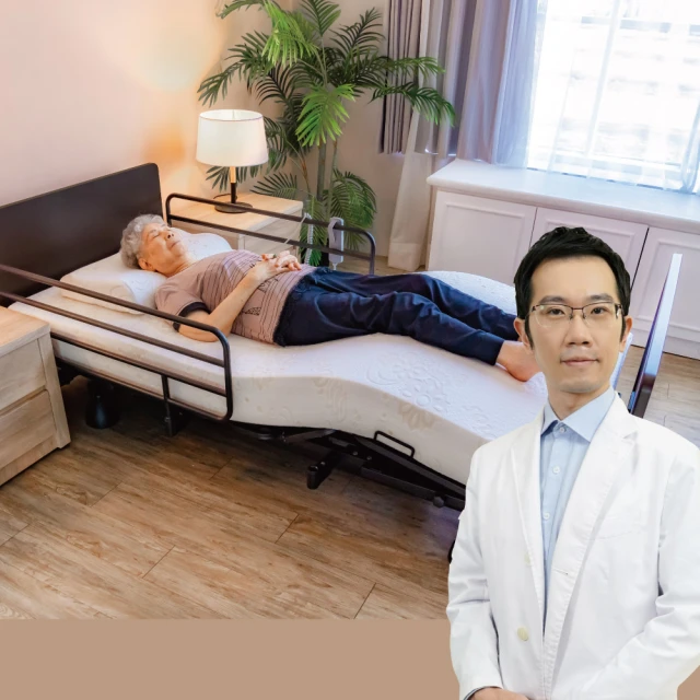 居家照護 復健球/PU握力球/圓形 (單顆入) 大樹 歷史價格詳細信息
