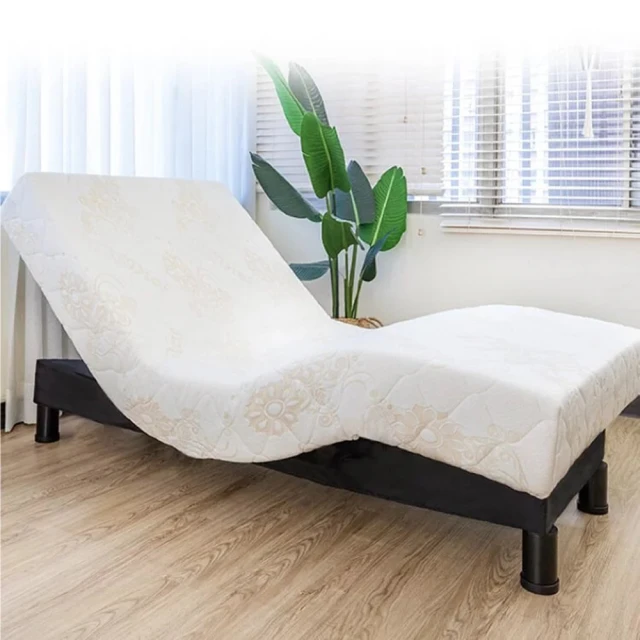【迪奧斯】北極星AI智能電動床 - 單人 R600-100x200x15-D110醫療級乳膠床(電動腰靠、按摩、手機APP連線) 歷史價格詳細信息