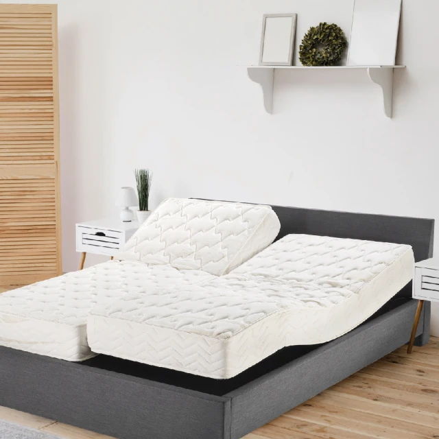 purrre 聖誕樹造型貓抓板 貓用 貓抓板 貓玩具 抓板 聖誕樹 耶誕樹 聖誕節 造型 節日 歷史價格詳細信息