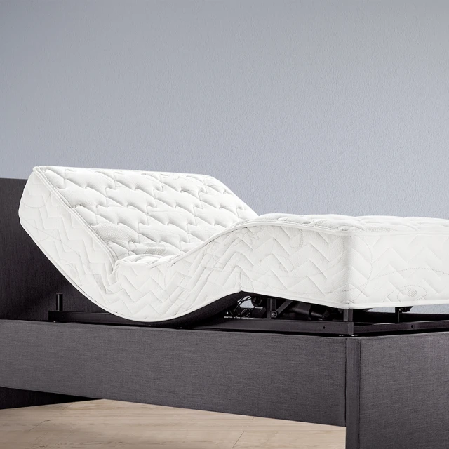 purrre 聖誕樹造型貓抓板 貓用 貓抓板 貓玩具 抓板 聖誕樹 耶誕樹 聖誕節 造型 節日 歷史價格詳細信息