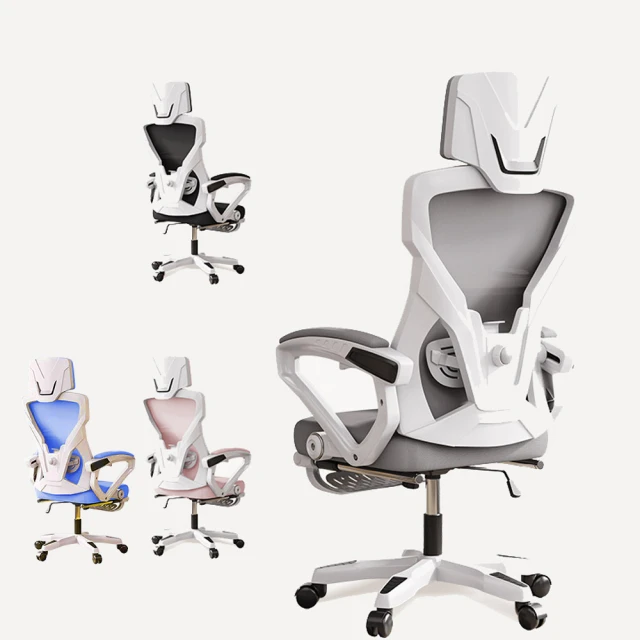 《坐得正》OA310N 2024新款 頭枕款式 辦公椅 電腦椅 人體工學椅 升降椅 旋轉椅 歷史價格詳細信息