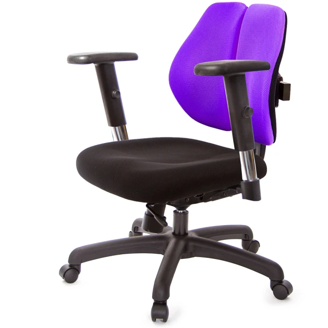 【GXG】雙軸枕 雙背工學椅 3D升降扶手(TW-2606 EA9) 歷史價格詳細信息