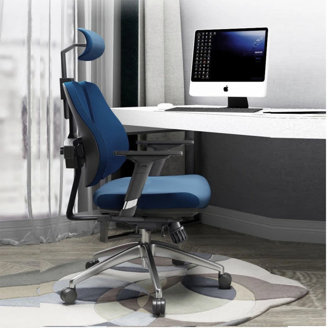 人體工學雙背支撐減壓護脊背墊/靠腰枕/支撐枕 歷史價格詳細信息