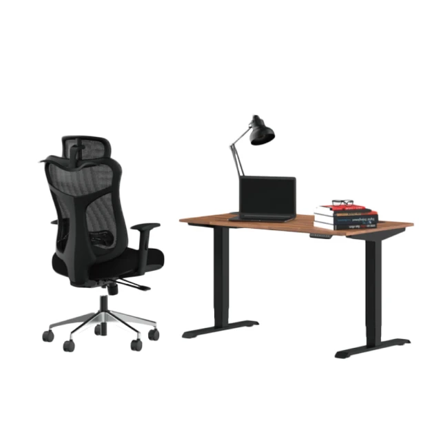 Backbone Dyback 04 電動升降桌-旗艦款W150xD75cm(自行組裝) 歷史價格詳細信息