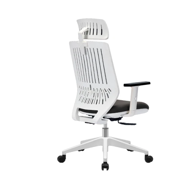 Backbone Peacock 人體工學椅 經典黑框 歷史價格詳細信息