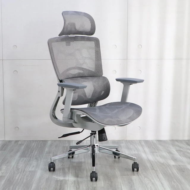 LOGIS 電腦椅 辦公椅 人體工學椅 全網椅 書桌椅 電競椅 家用椅【D32RXRS】 歷史價格詳細信息