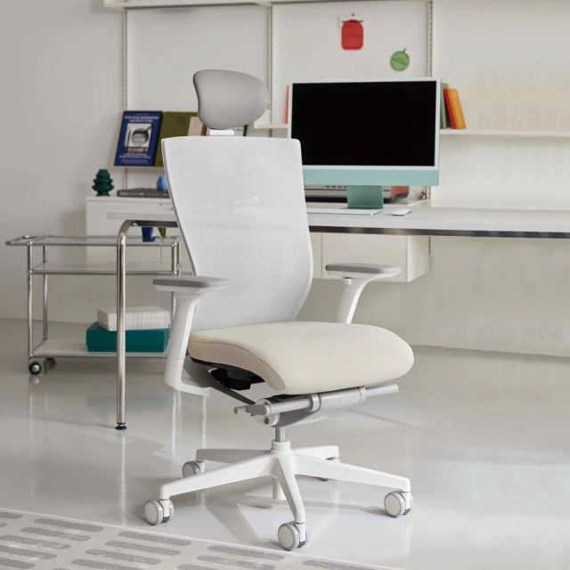 【SIDIZ】 T50 AIR 升級腰靠版 全網高階人體工學椅 歷史價格詳細信息