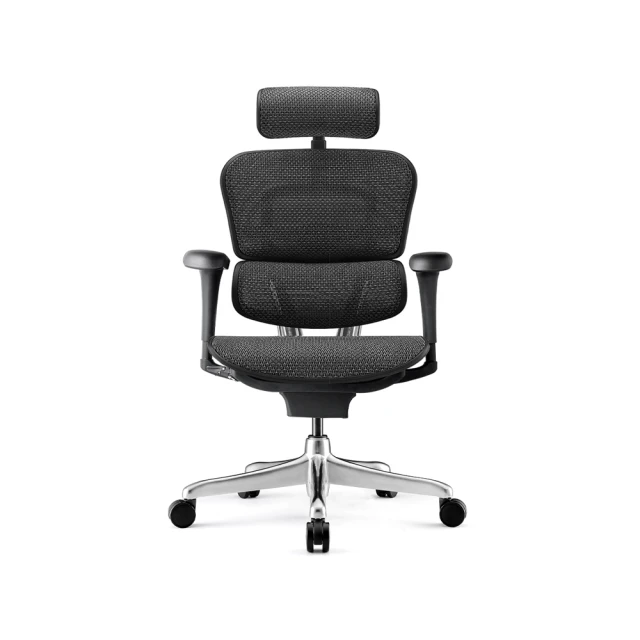 ERGOHUMAN ULTRA 雄鷹版 人體工學椅(無腳凳版)(4D扶手) 歷史價格詳細信息