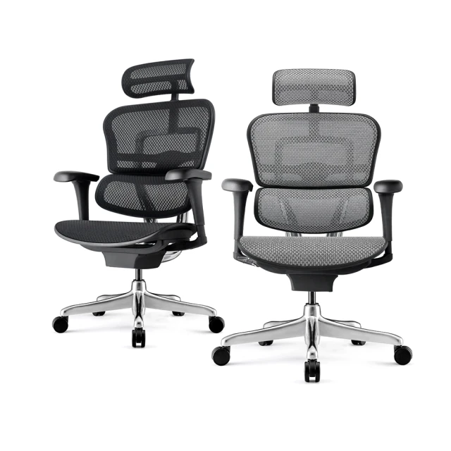 ERGOHUMAN ULTRA 雄鷹版 人體工學椅(無腳凳版)(4D扶手) 歷史價格詳細信息