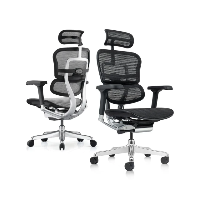 ERGOHUMAN ULTRA 雄鷹版 人體工學椅(無腳凳版)(4D扶手) 歷史價格詳細信息