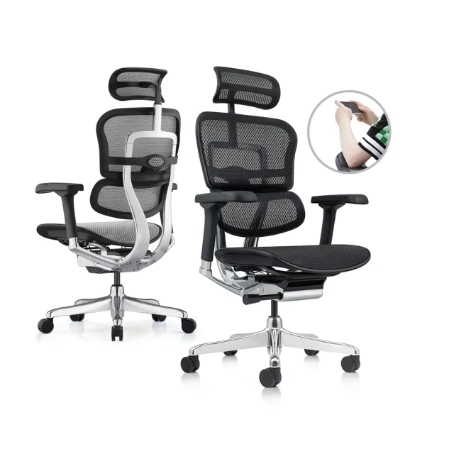 ERGOHUMAN ULTRA 雄鷹版 人體工學椅(無腳凳版)(4D扶手) 歷史價格詳細信息