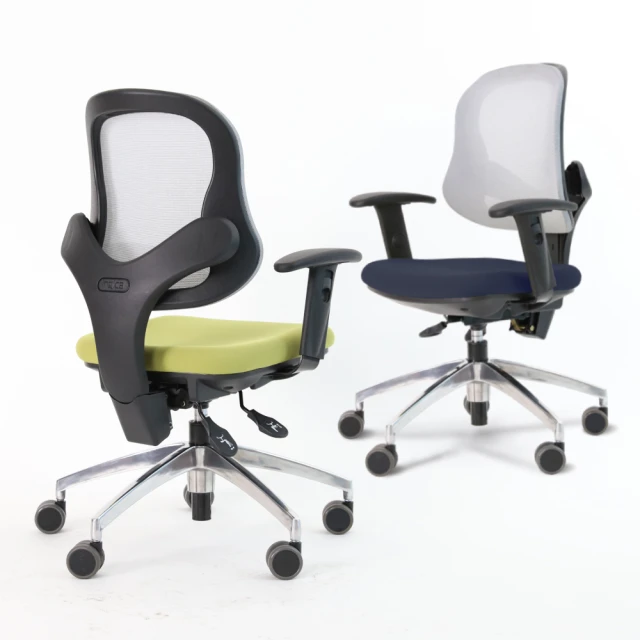 【Artso 亞梭】YU護腰椅(人體工學椅/辦公椅/電腦椅/網椅) 歷史價格詳細信息