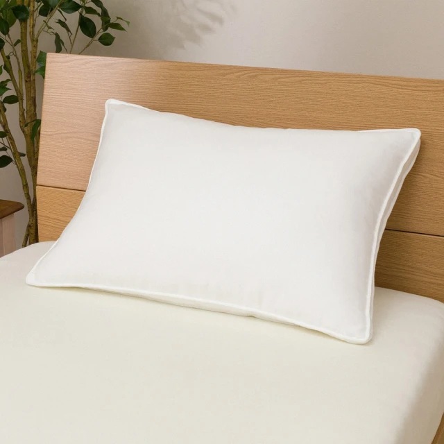 【NITORI 宜得利家居】枕套 N HOTEL WH 50×70(HOTEL 飯店) 歷史價格詳細信息
