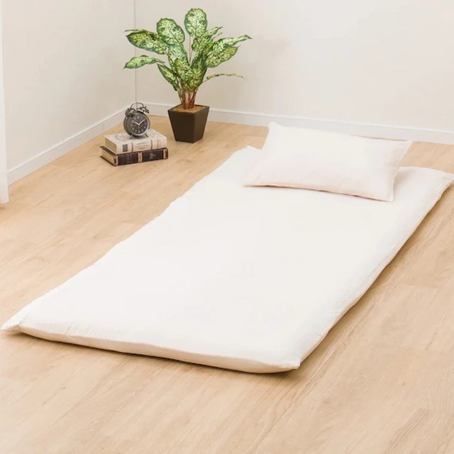【NITORI 宜得利家居】◎日本單人加大尺寸獨立筒彈簧床墊 N-SLEEP EASE E5-02(獨立筒彈簧床 床墊) 歷史價格詳細信息