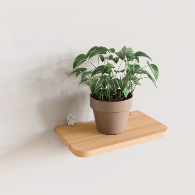 1.5cm實木立體鏤空木紋小相框簡約桌面擺臺畫框像框美甲展示框6寸  露天市集  全台最大的網路購物市集 歷史價格詳細信息