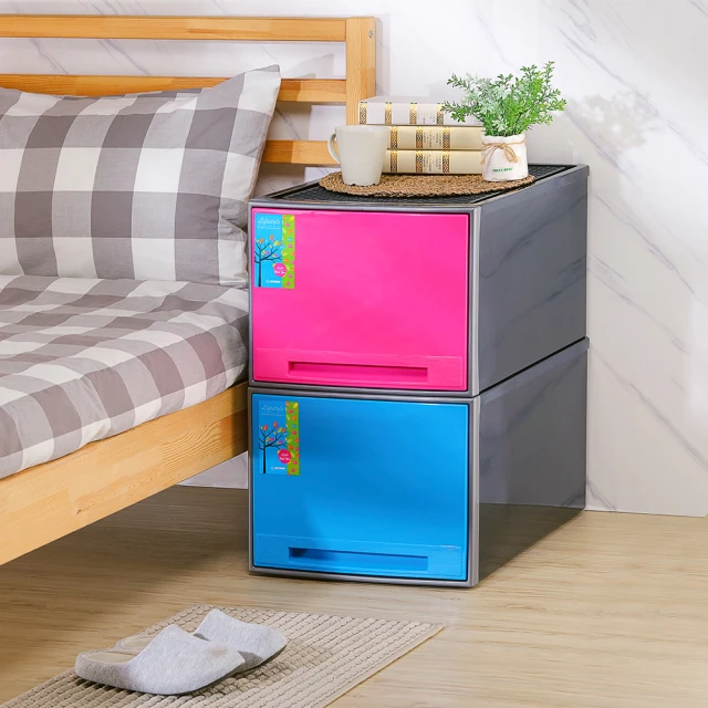 聯府抽屜整理箱65L(2入)抽屜收納箱65 歷史價格詳細信息