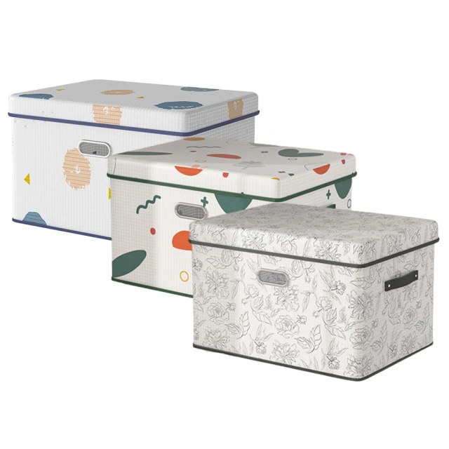 【樂邦】圖案掀蓋式收納箱-特大款2入(整理箱 置物箱 衣物 衣櫥) 歷史價格詳細信息