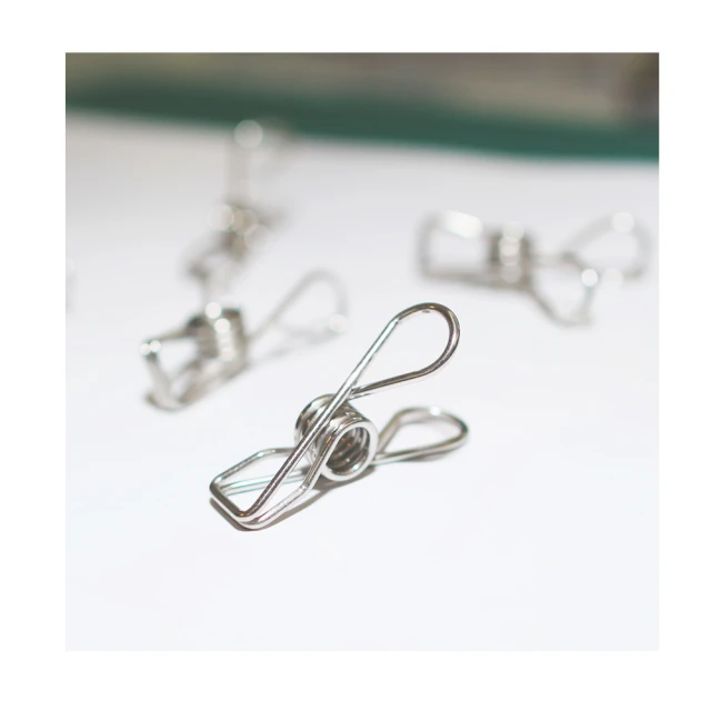 HIKOYA食品級#304不鏽鋼曬衣夾超值45入 歷史價格詳細信息