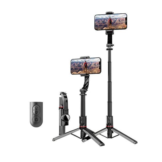 ANTIAN 遠程遙控電擊式滅蚊燈 夜燈捕蚊燈兩用 可手提滅蚊器 歷史價格詳細信息