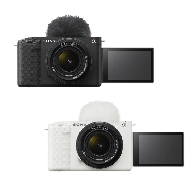 SONY/索尼Alpha 6400 a6400 A6100微單相機NP-FW50鋰電池+充電器 歷史價格詳細信息