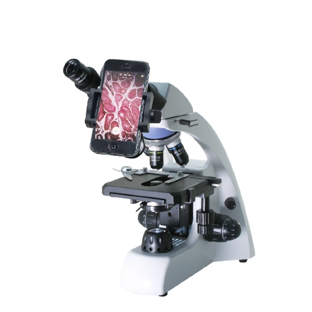 MICROTECH D1500-UPX 生物顯微鏡 歷史價格詳細信息