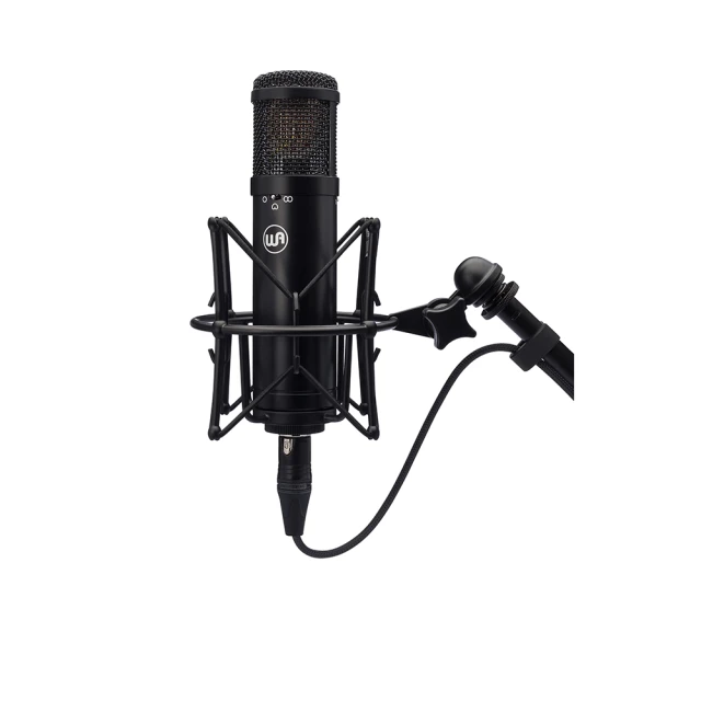 Warm Audio WA-47F 大震膜 電容式 麥克風 公司貨 平價版 U47 fet WA 47F 【凱傑樂器】 歷史價格詳細信息