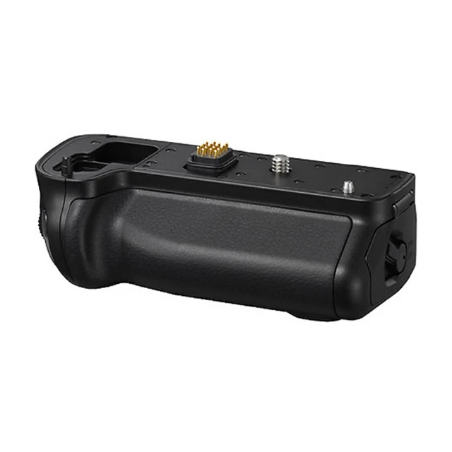 Panasonic DMW-BGGH5 電池手把 盒裝-單手把不含電池 歷史價格詳細信息