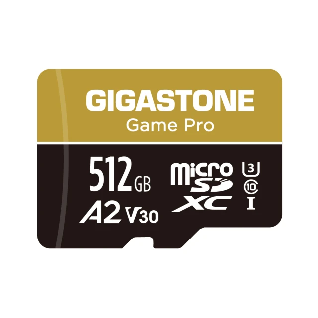 【GIGASTONE 立達】microSDXC UHS-Ⅰ U3 A2V30 256GB遊戲高速記憶卡-2入組(支援Switch/GoPro) 歷史價格詳細信息