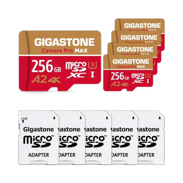 GIGASTONE 立達 Camera Pro microSDXC UHS-Ⅰ U3 256GB攝影高速記憶卡-5入組(256G A2 V60) 歷史價格詳細信息