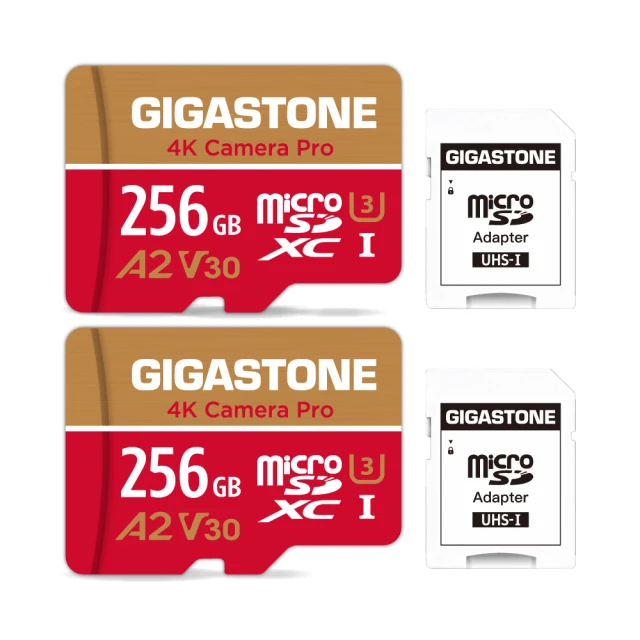 GIGASTONE 立達 Camera Pro microSDXC UHS-Ⅰ U3 256GB攝影高速記憶卡-5入組(256G A2 V60) 歷史價格詳細信息