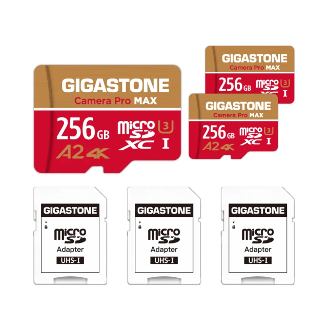 GIGASTONE Camera Pro MAX microSDXC UHS-Ⅰ U3 256GB攝影高速記憶卡-3入組(256G A2 4K) 歷史價格詳細信息