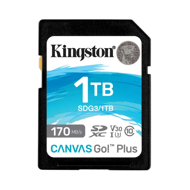 金士頓 KINGSTON SDG3 SDXC 170MB 64G U3 V30 記憶卡  現貨 蝦皮直送 歷史價格詳細信息