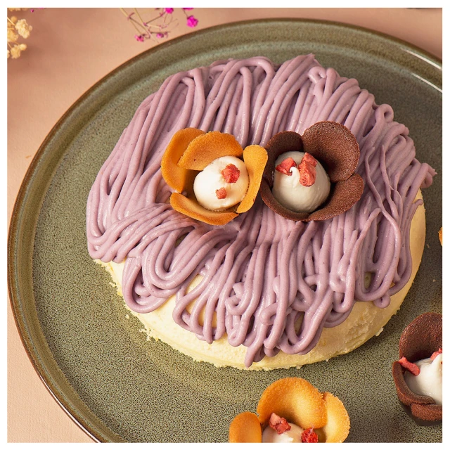 金芋合果芋_水培#室內植物_觀葉#全館不含運費滿150元才出貨 歷史價格詳細信息