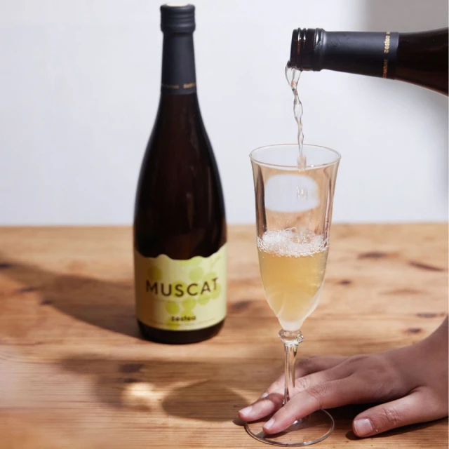 【Zestea Kombucha】X 興波咖啡 咖啡康普茶 300ML*12瓶(與世界冠軍聯手打造全新咖啡體驗、5億益生菌) 歷史價格詳細信息