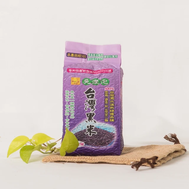 台南 優質 行車紀錄器 GPS導航器 車充T型口 mini usb車用充電線 (直頭/彎頭 3米線) 歷史價格詳細信息