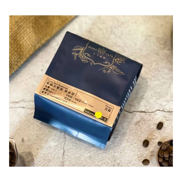 精品大貝斯低音提琴倍大提琴低音大貝斯大貝斯兒童成人 專業 演 歷史價格詳細信息