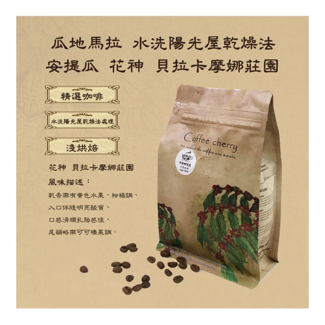 瓜地馬拉/花神【淺焙/中焙】1磅裝咖啡豆 歷史價格詳細信息