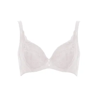 曼黛瑪璉 V極線內衣  D-F罩杯(媚力紫) 歷史價格詳細信息